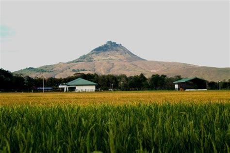 mount calayo|Musuan Peak: Fire Mountain.